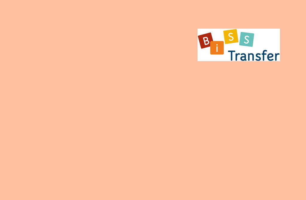 Logo BISS Transfer