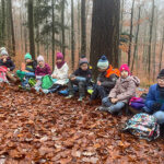 Waldprojekt - Zweitklässler entdecken den Wald