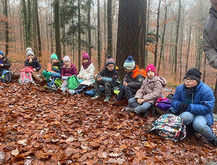 Waldprojekt - Zweitklässler entdecken den Wald